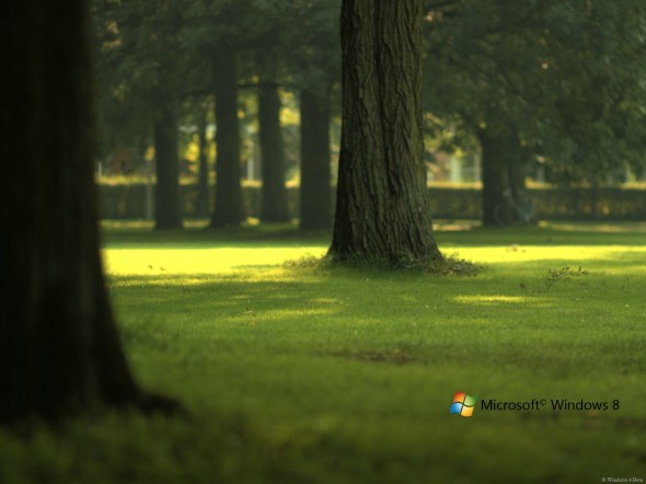 Wallpaper Of Windows 8. Windows 8 wallpaper from
