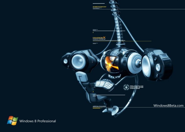 wallpaper for windows 8. Windows 8 wallpaper June 2011